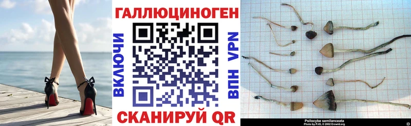 наркотики  Игарка  Псилоцибиновые грибы мицелий 